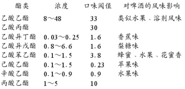 精釀啤酒設(shè)備,啤酒廠設(shè)備,開辦啤酒廠,發(fā)酵，錐形罐